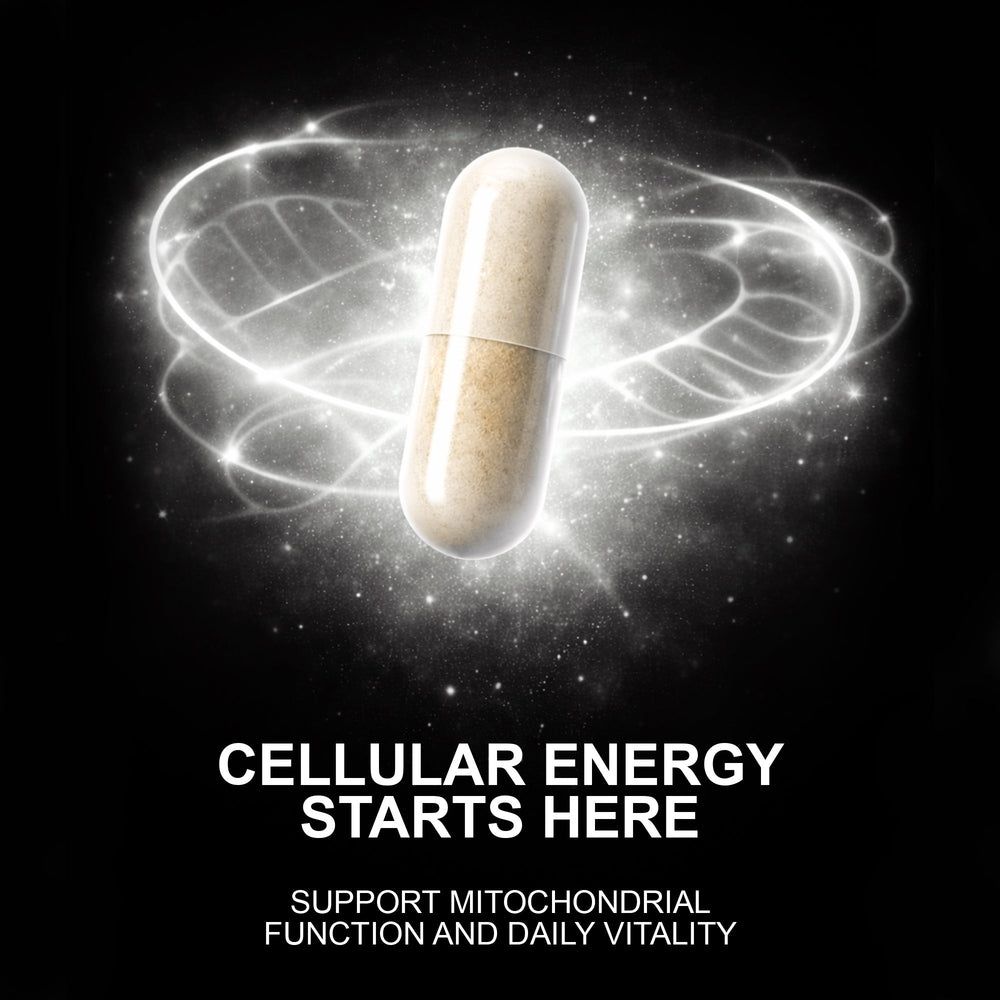 Magnali X | Cellular Aging Formula